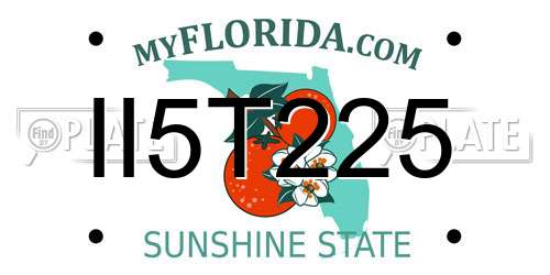 II5T225 Florida License Plate