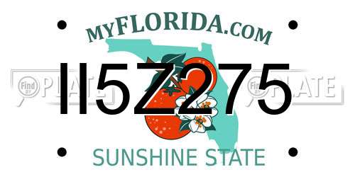 II5Z275 Florida License Plate