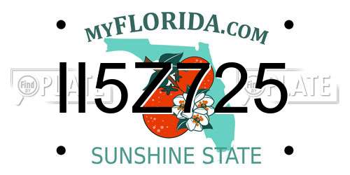 II5Z725 Florida License Plate