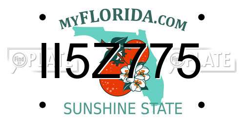 II5Z775 Florida License Plate