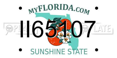 II65107 Florida License Plate