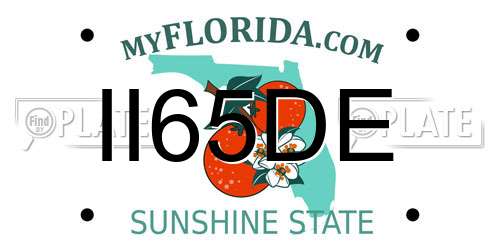 II65DE Florida License Plate