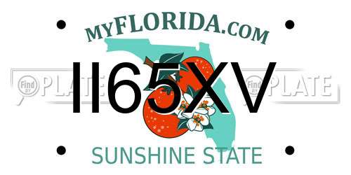 II65XV Florida License Plate