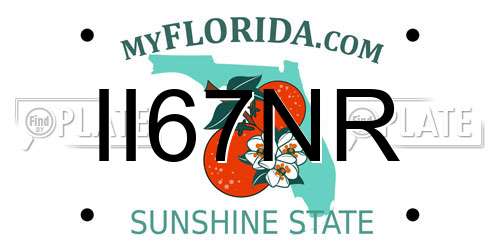 II67NR Florida License Plate