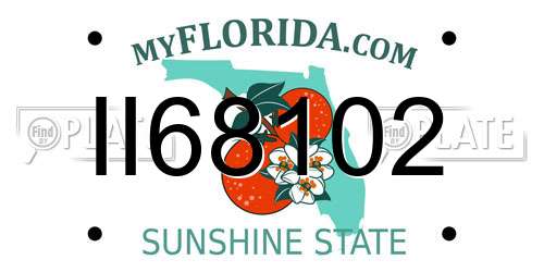 II68102 Florida License Plate