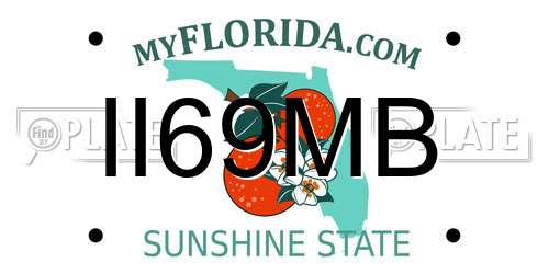 II69MB Florida License Plate