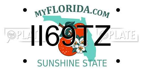 II69TZ Florida License Plate