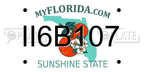 II6B107 Florida License Plate