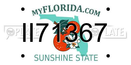II71367 Florida License Plate