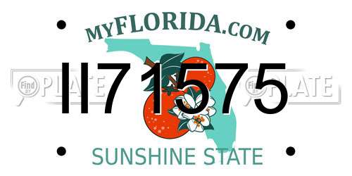 II71575 Florida License Plate