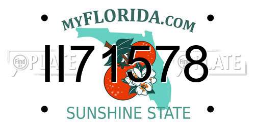 II71578 Florida License Plate