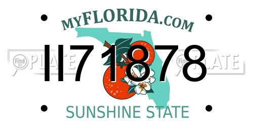 II71878 Florida License Plate