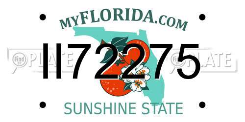 II72275 Florida License Plate