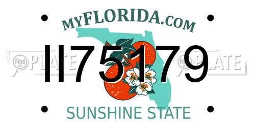 II75179 Florida License Plate