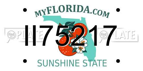 II75217 Florida License Plate