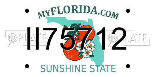 II75712 Florida License Plate