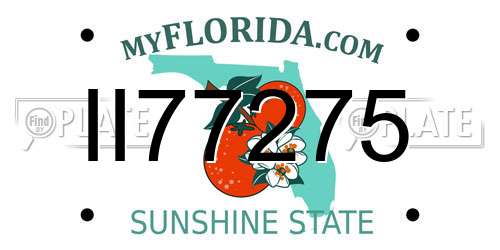 II77275 Florida License Plate