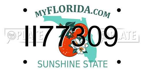 II77309 Florida License Plate