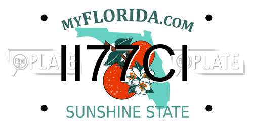 II77CI Florida License Plate
