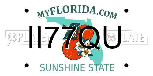II77QU Florida License Plate