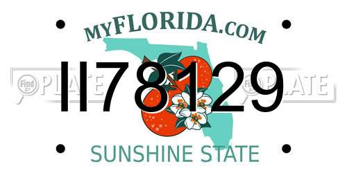 II78129 Florida License Plate