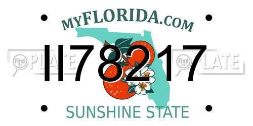 II78217 Florida License Plate