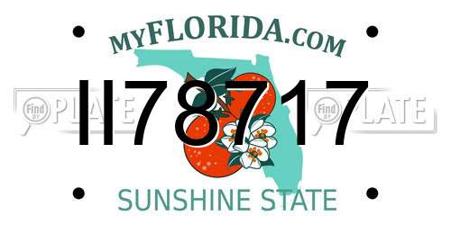 II78717 Florida License Plate
