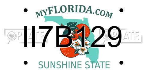 II7B129 Florida License Plate