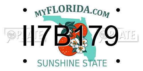 II7B179 Florida License Plate