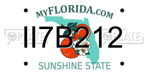 II7B212 Florida License Plate