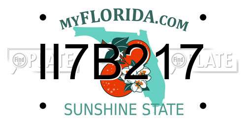 II7B217 Florida License Plate