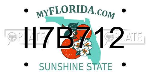 II7B712 Florida License Plate