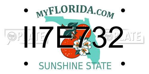 II7E732 Florida License Plate