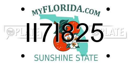 II7I825 Florida License Plate