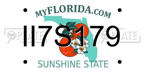 II7S179 Florida License Plate