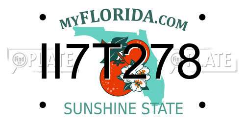 II7T278 Florida License Plate