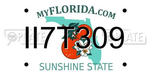 II7T309 Florida License Plate