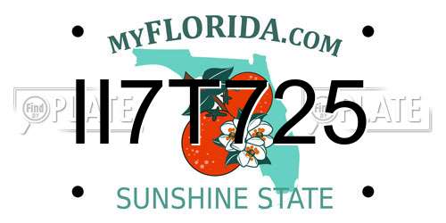 II7T725 Florida License Plate