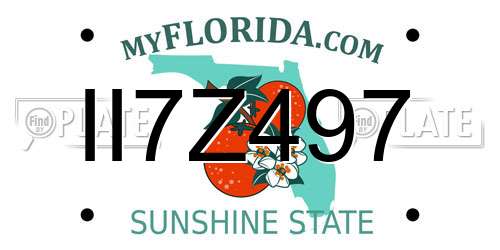 II7Z497 Florida License Plate