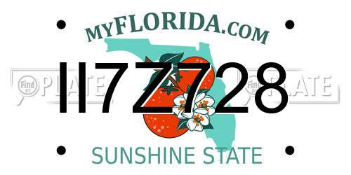 II7Z728 Florida License Plate