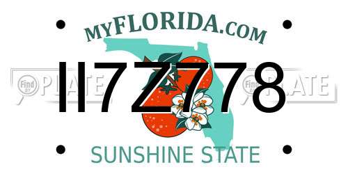 II7Z778 Florida License Plate