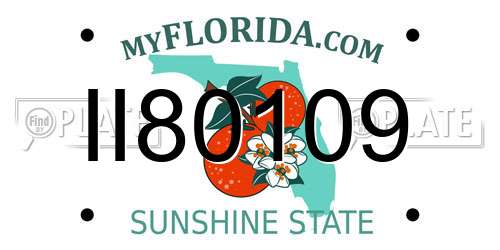 II80109 Florida License Plate