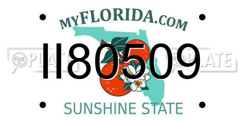 II80509 Florida License Plate
