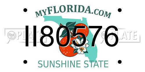 II80576 Florida License Plate