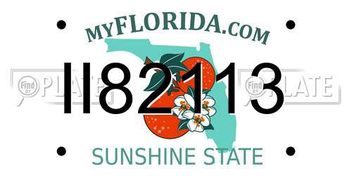 II82113 Florida License Plate