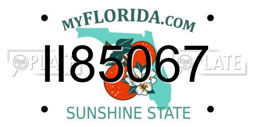II85067 Florida License Plate