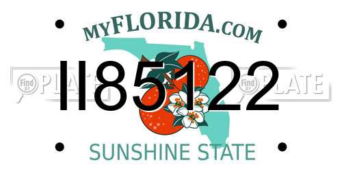 II85122 Florida License Plate