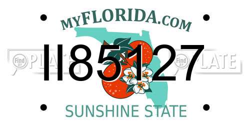 II85127 Florida License Plate