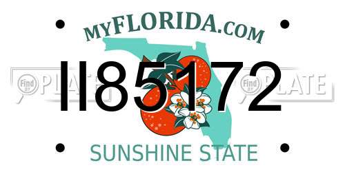 II85172 Florida License Plate