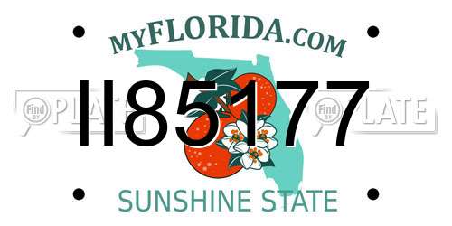 II85177 Florida License Plate